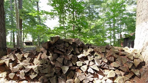 Wood pile_2 Stock Footage 956607