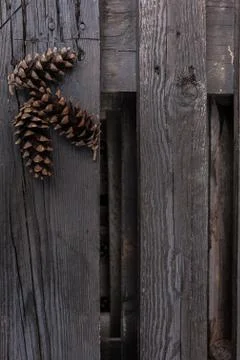 Wood plank textured backdrop with pine cones Stock Photos