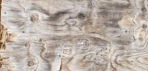 Wood Plank with Wavy Pattern for Texture Stock Photos