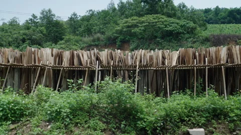 Wood planks arranged in a structure made of tree trunks in vietnam Stock Footage 303846092