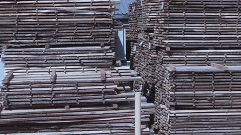 Wood Planks Stack in Pile Top of each Other at Sawmill Stockbeeldmateriaal 142137843