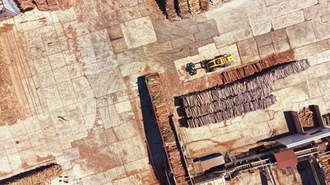 Wood processing activity in a lumber yard during daytime showing stacks of logs Stock Footage 343563911