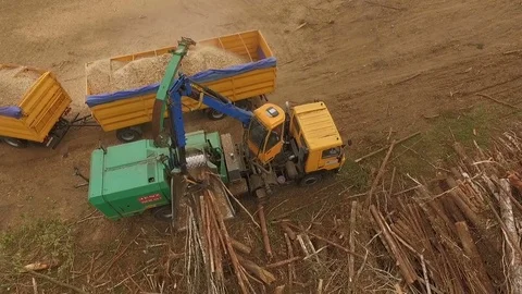 Wood processing, aerial shot Video stock 84084970