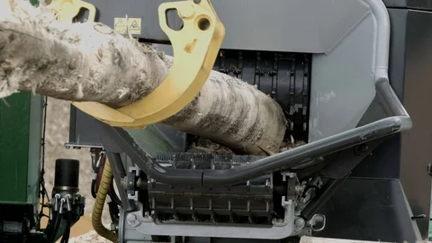 Wood processing, bandsaw destroing timber, making the sawdust Stock Footage 71165376