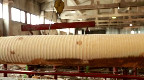 Wood processing. Close-up of cylindering log Stock Footage 58463758