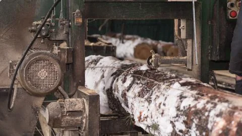 Wood processing. Cutting logs on the boards. In the winter process a tree. Foto stock