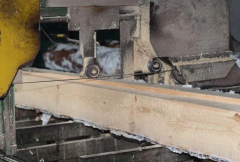 Wood processing. Cutting logs on the boards. In the winter process a tree. Foto stock