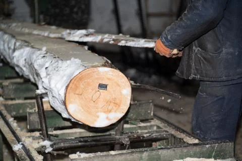 Wood processing. Cutting logs on the boards. In the winter process a tree. Foto stock