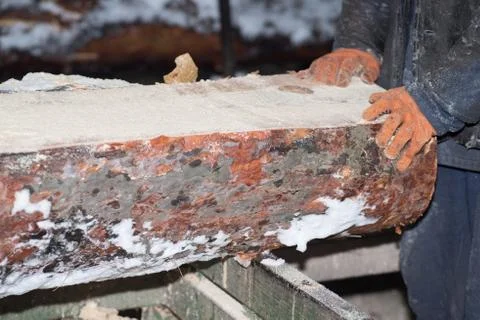 Wood processing. Cutting logs on the boards. In the winter process a tree. Stock Photos