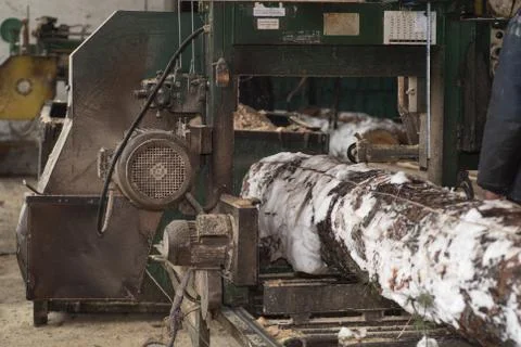 Wood processing. Cutting logs on the boards. In the winter process a tree. Stock Photos
