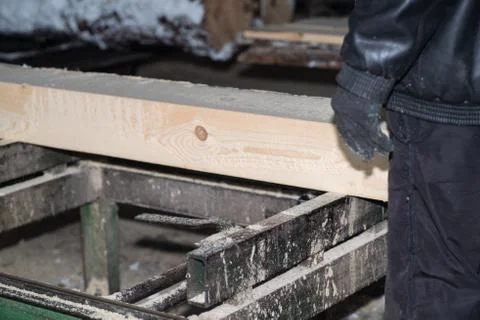 Wood processing. Cutting logs on the boards. In the winter process a tree. Stock Photos