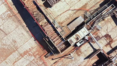 Wood processing facility with logs being moved and organized for further Vidéo 343556909