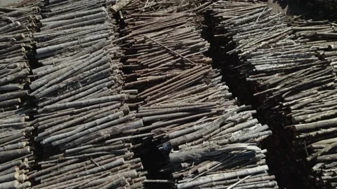 Wood processing factory, aerial view of a large number of logs harvested for Stock Footage 217897129