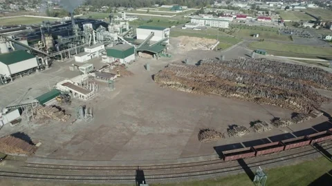 Wood processing factory, view from a height of a large number of logs harvested Stock Footage 217431770