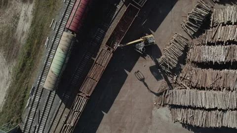 Wood processing factory, view from a height of a large number of logs harvested Stock Footage 217900548