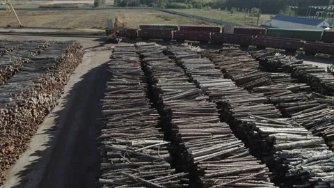 Wood processing factory, view from a height of a large number of logs harvested Stock Footage 218090410