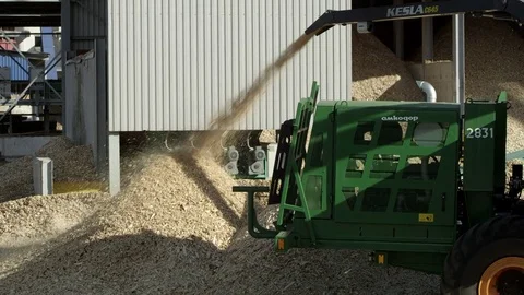 Wood processing factory, woodchipper making sawdust Stock Footage 71271093