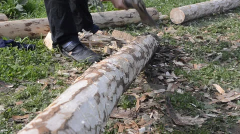 Wood Processing Stock Footage 24770033