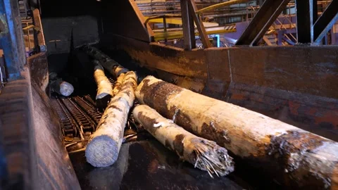 Wood processing. Logs moving on a conveyor belt to be processed into wood chips Stockbeeldmateriaal 297197090