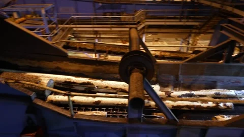 Wood processing. Logs moving on a conveyor belt for processing into wood chips Stockbeeldmateriaal 297364987