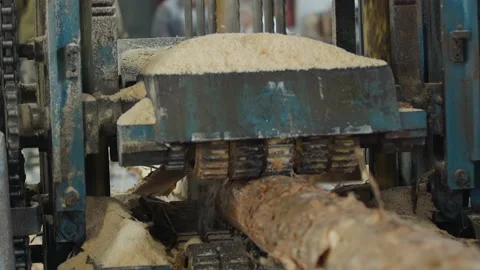 Wood Processing Machine Cuts Log With Saws To Manufacture Lumber Planks Stock Footage 219507126