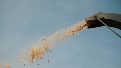 Wood Processing By Machine. Stock Footage 101172987