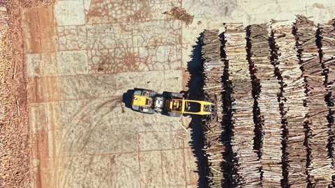 Wood processing with a machine handling logs in a lumber yard during daytime Vidéo 343563983