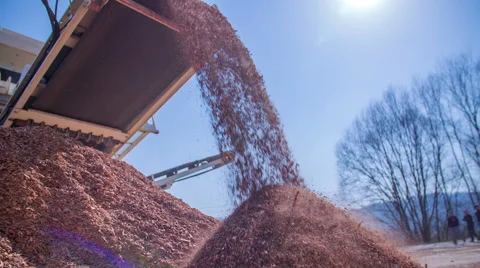 Wood processing with mechanical treatment Stock Footage 53433818