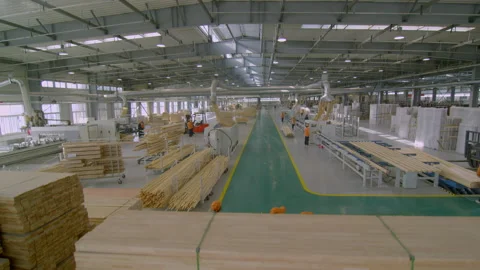 Wood-Processing Plant With Lots Of Timber And Equipment，China,hebei Video stock 140361488