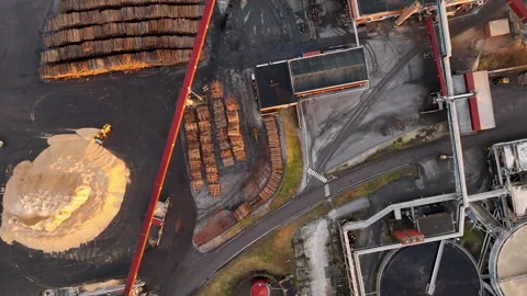 Wood processing plant managing logs and biomass Stock Footage 297055241