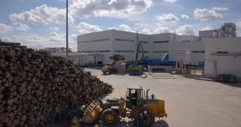 In a wood processing plant, a worker loads small pieces of tree trunks Stock Footage 161967131