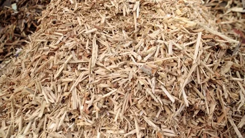 Wood processing. Recycling. Ecology. Large mountains of bulk wood biomass. Stock Footage 335689575