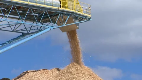 Wood processing into sawdust, solid fuel Stock Footage 105541496