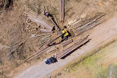 Wood processing takes place on along rural road in deforestation area Stock Photos