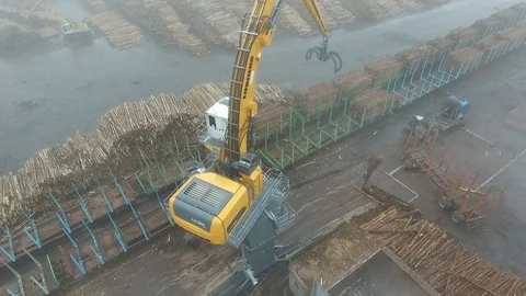 Wood processing in  UPM Kymmene’s bio cellulose factory 库存影片 117703144