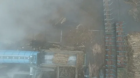 Wood processing in  UPM Kymmene’s bio cellulose factory 库存影片 117703258