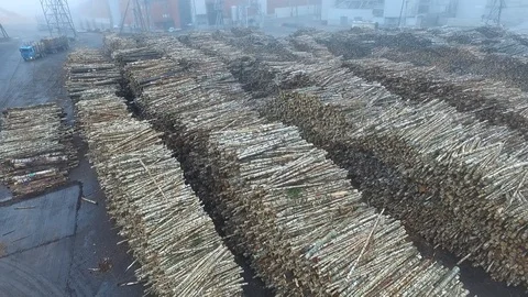Wood processing in  UPM Kymmene’s bio cellulose factory 库存影片 117703315