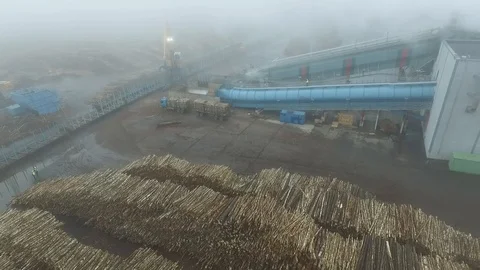 Wood processing in  UPM Kymmene’s bio cellulose factory 库存影片 117703445