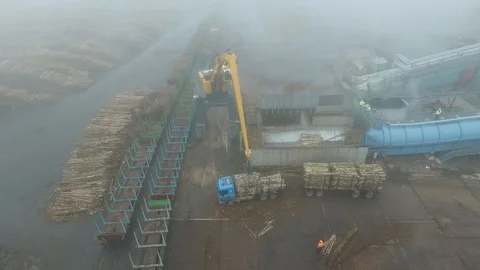 Wood processing in  UPM Kymmene’s bio cellulose factory 库存影片 117703547