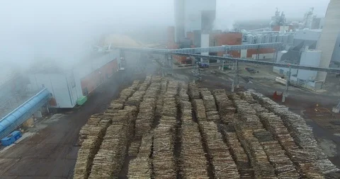 Wood processing in  UPM Kymmene’s bio cellulose factory 库存影片 117704146