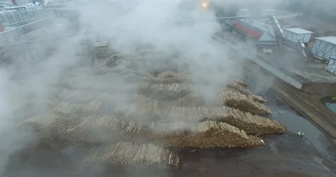 Wood processing in  UPM Kymmene’s bio cellulose factory Stock Footage 117704524