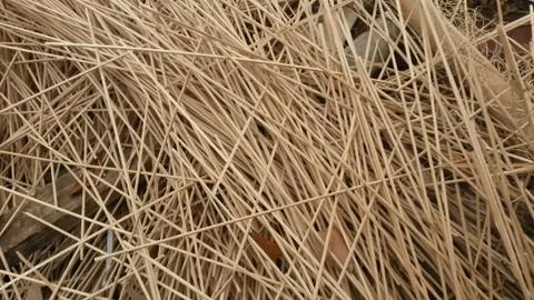 Wood processing waste Stock-Fotos