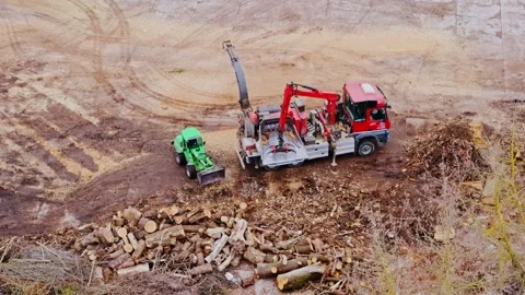 Wood Processing Yard Cleanup - Green Loader Gathers Debris as Red Truck Finishes Stock Footage 344078178
