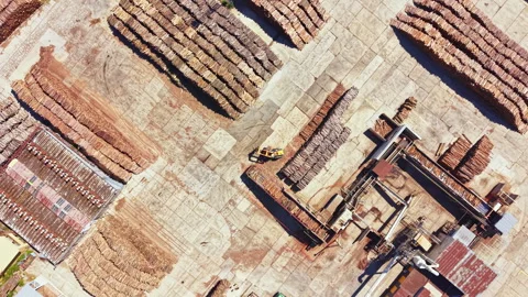 Wood processing yard with stacked logs and machinery seen from above during Stock Footage 343564787