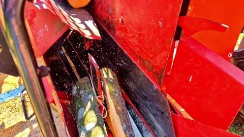 Wood processor machine cutting and splitting log into firewood in close-up view Stock Footage 315495771