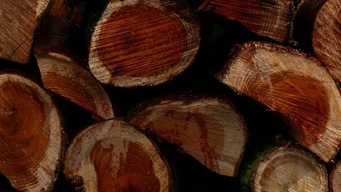 Wood in the rain Stock Footage 74357152