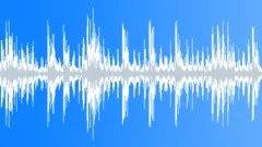 Wood rattle 21 Sound Effect