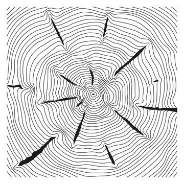 Wood rings pattern. Concentric tree linear texture Stock Illustration
