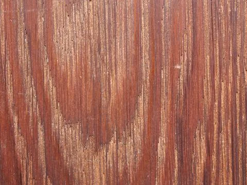 Wood sample Stock Photos