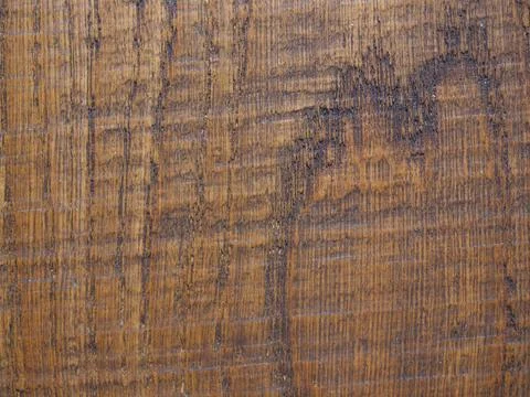 Wood sample Stock-Fotos
